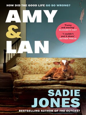 cover image of Amy and Lan